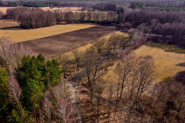 Działka budowlana w Wąsoszkach o powierzchni ponad 10 000 m²