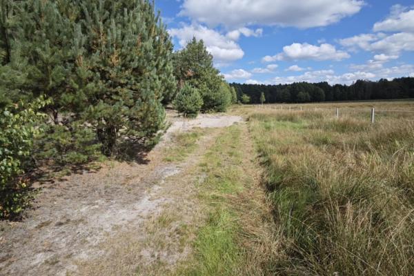 Nieruchomość Gruntowa z WZ łódzkie