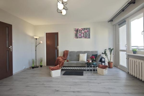 Mieszkanie do wynajęcia Bełchatów