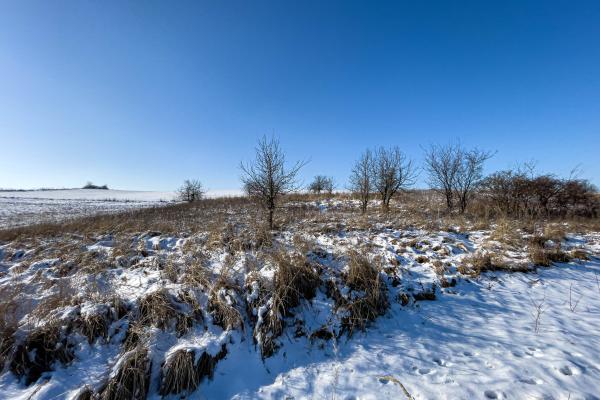 Piękna działka budowlana na spokojnym osiedlu w Kotuniu na sprzedaż